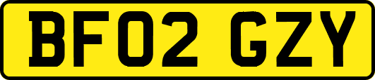 BF02GZY