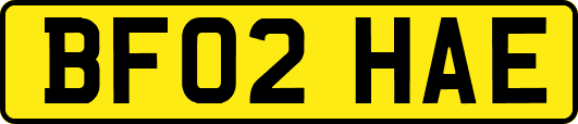 BF02HAE