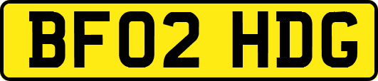BF02HDG