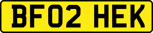BF02HEK