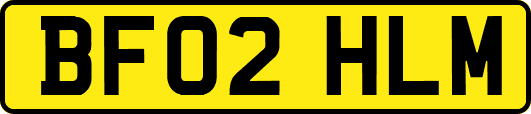 BF02HLM