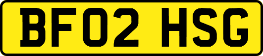 BF02HSG