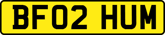 BF02HUM