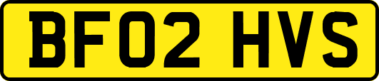 BF02HVS
