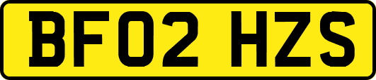 BF02HZS