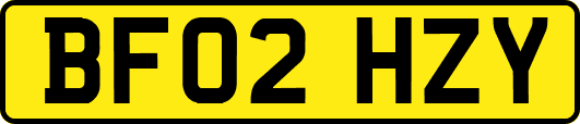 BF02HZY