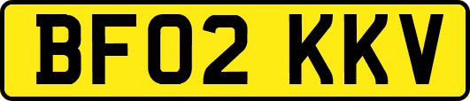 BF02KKV