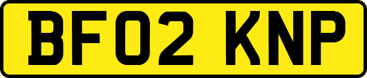 BF02KNP