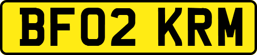 BF02KRM
