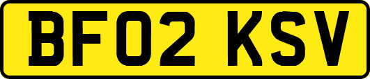 BF02KSV