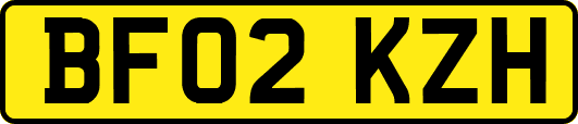 BF02KZH
