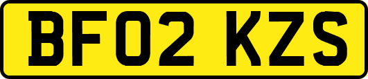 BF02KZS