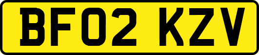 BF02KZV