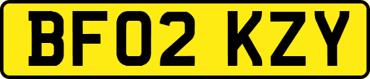 BF02KZY