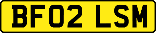 BF02LSM