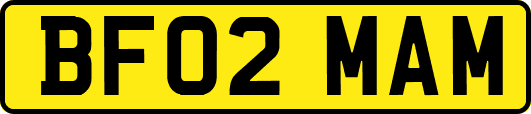 BF02MAM