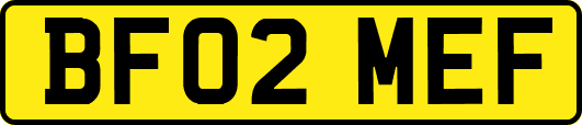 BF02MEF