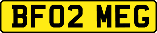 BF02MEG
