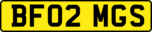 BF02MGS