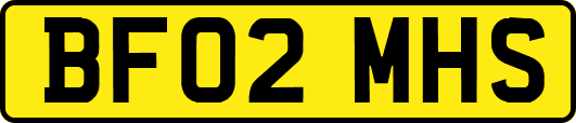 BF02MHS