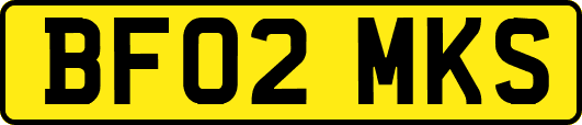 BF02MKS