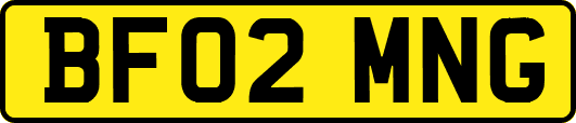 BF02MNG