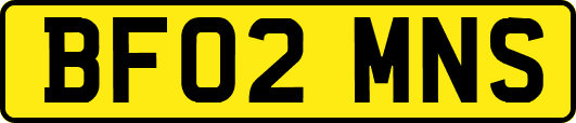 BF02MNS