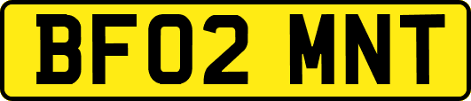 BF02MNT