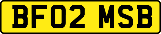 BF02MSB