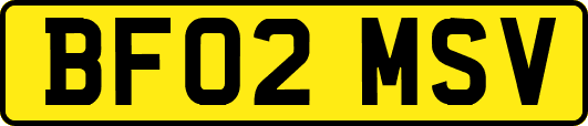 BF02MSV