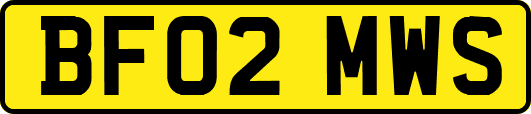 BF02MWS