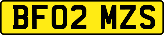 BF02MZS