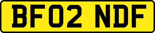 BF02NDF