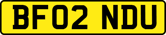 BF02NDU