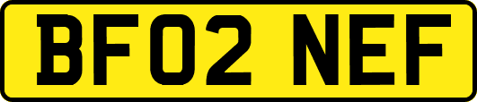 BF02NEF