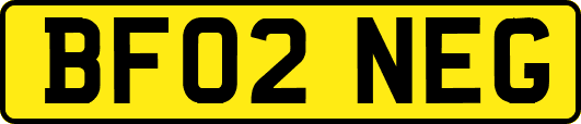 BF02NEG