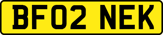 BF02NEK