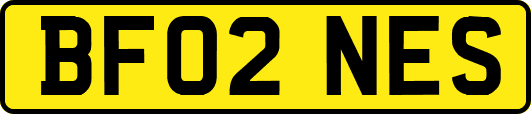 BF02NES