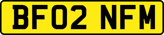 BF02NFM