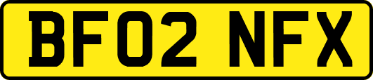 BF02NFX