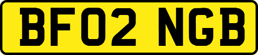 BF02NGB