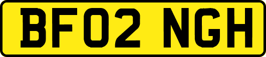 BF02NGH
