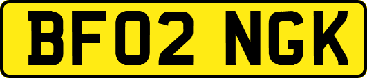 BF02NGK