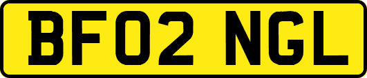 BF02NGL