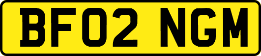 BF02NGM