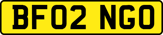 BF02NGO