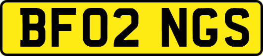 BF02NGS