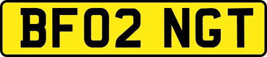 BF02NGT
