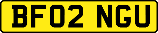 BF02NGU