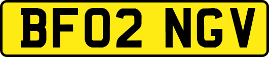 BF02NGV